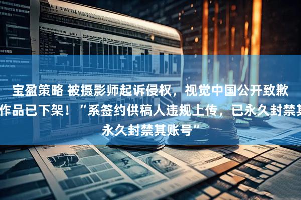 宝盈策略 被摄影师起诉侵权，视觉中国公开致歉：涉案作品已下架！“系签约供稿人违规上传，已永久封禁其账号”