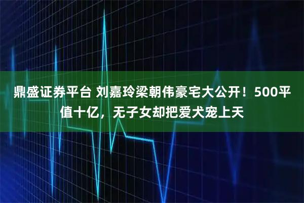 鼎盛证券平台 刘嘉玲梁朝伟豪宅大公开！500平值十亿，无子女却把爱犬宠上天