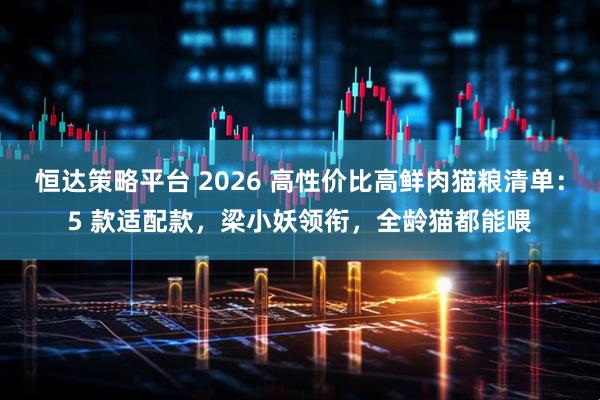 恒达策略平台 2026 高性价比高鲜肉猫粮清单:5 款适配款,梁小妖领衔,全龄猫都能喂