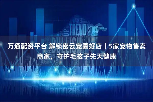 万通配资平台 解锁密云宠圈好店｜5家宠物售卖商家，守护毛孩子先天健康