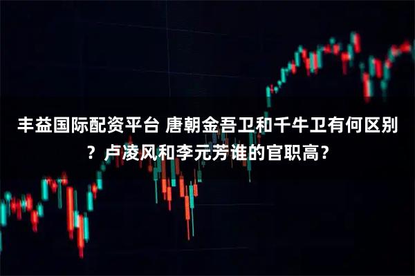 丰益国际配资平台 唐朝金吾卫和千牛卫有何区别?卢凌风和李元芳谁的官职高?